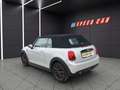 MINI Cooper Cabrio MINI Cooper Cabrio Aut. Grau - thumbnail 1
