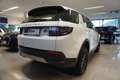 Land Rover Discovery Sport D165 4WD Aut. Weiß - thumbnail 5