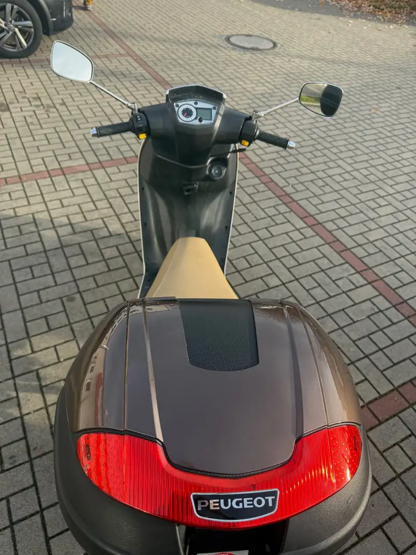 Peugeot Vivacity 50 sixties 2-Takt Beige - 1