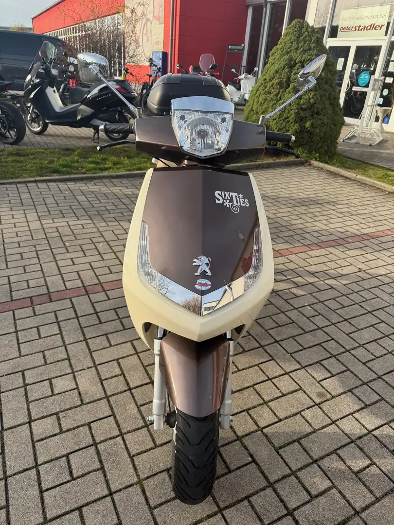 Peugeot Vivacity 50 sixties 2-Takt Beige - 2