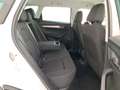 Skoda Karoq 2.0 tdi evo executive 115cv Weiß - thumbnail 10