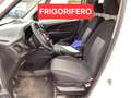 Fiat Doblo 1.6mjt 105cv FRIGO SENZA ATP Bianco - thumbnail 7