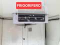 Fiat Doblo 1.6mjt 105cv FRIGO SENZA ATP Bianco - thumbnail 5