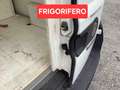 Fiat Doblo 1.6mjt 105cv FRIGO SENZA ATP Bianco - thumbnail 6