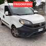 Fiat Doblo 1.6mjt 105cv FRIGO SENZA ATP Bianco - thumbnail 2