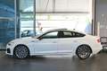 Audi A5 40 TDI Sportback Quattro S-Tronic S-Line - MATRIX Bianco - thumbnail 3
