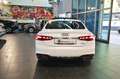 Audi A5 40 TDI Sportback Quattro S-Tronic S-Line - MATRIX Bianco - thumbnail 9