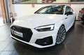 Audi A5 40 TDI Sportback Quattro S-Tronic S-Line - MATRIX Bianco - thumbnail 8