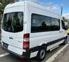 Mercedes-Benz Sprinter 316 CDI L2H2 9.Sitz|Standhzg|Klima|PDC Weiß - thumbnail 6