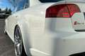 Audi RS4 4.2 V8 quattro - Perfetta 87000km Bianco - thumbnail 7