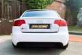 Audi RS4 4.2 V8 quattro - Perfetta 87000km Alb - thumbnail 6