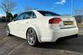 Audi RS4 4.2 V8 quattro - Perfetta 87000km Bianco - thumbnail 5