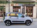 Fiat Panda Panda Cross 1.0 FireFly S&S Hybrid Albastru - thumbnail 8