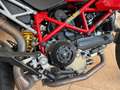 Ducati Hypermotorad 1100S Rot - thumbnail 10