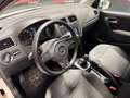 Volkswagen Polo 1,2 TDI *R line Sportpaket *Kupplung NEU* Weiß - thumbnail 7