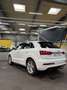 Audi Q3 2,0 TDI quattro DPF S-tronic Weiß - thumbnail 7