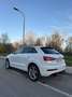 Audi Q3 2,0 TDI quattro DPF S-tronic Weiß - thumbnail 11