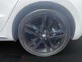 SEAT Ibiza 1.0 FR Black Ed.*Navi*LED*Winter*CarPlay*M* Weiß - thumbnail 8