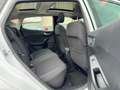 Ford Fiesta Titanium Panorama LED Apple Carplay Keyless Wit - thumbnail 19