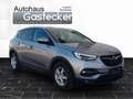 Opel Grandland X 1,6 CDTI BlueInjection Edition Start/Stopp Grau - thumbnail 6