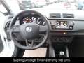 Skoda Fabia Red & Grey 1,2.KLIMA,GARANTIE Weiß - thumbnail 9
