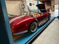Shelby Sonstige cobra DAX 427 Rot - thumbnail 1
