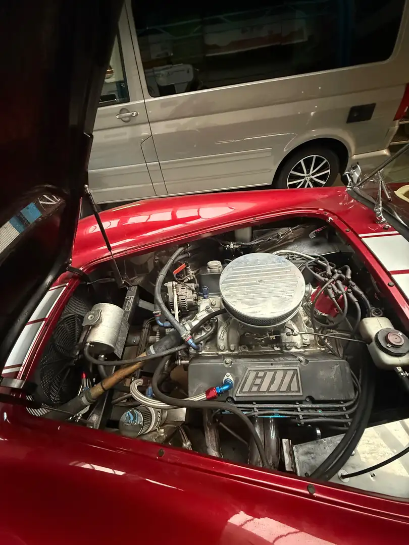 Shelby Sonstige cobra DAX 427 Rot - 2