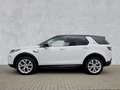 Land Rover Discovery Sport D180 HSE Weiß - thumbnail 7