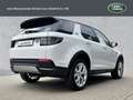 Land Rover Discovery Sport D180 HSE Weiß - thumbnail 3