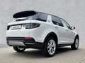 Land Rover Discovery Sport D180 HSE Weiß - thumbnail 3