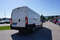 Citroen C8 Jumper 35 2.0 BlueHDi Heavy L4H2 3,5t Weiß - thumbnail 12