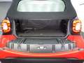 smart forTwo 1.0i Passion *DCT* Cabriolet* Cool \u0026 Audio* LED* Noir - thumbnail 14