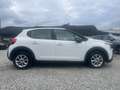 Citroen C3 C3 Blue Hdi 100 S&S Van Feel PREZZO+IVA Blanc - thumbnail 6