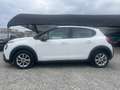 Citroen C3 C3 Blue Hdi 100 S&S Van Feel PREZZO+IVA Wit - thumbnail 2