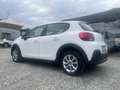Citroen C3 C3 Blue Hdi 100 S&S Van Feel PREZZO+IVA Wit - thumbnail 3