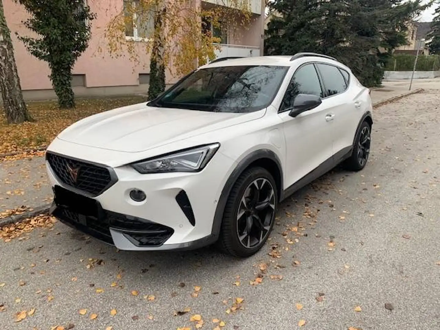 CUPRA Formentor Formentor VZ 1,4 e-Hybrid 245 DSG Weiß - 2