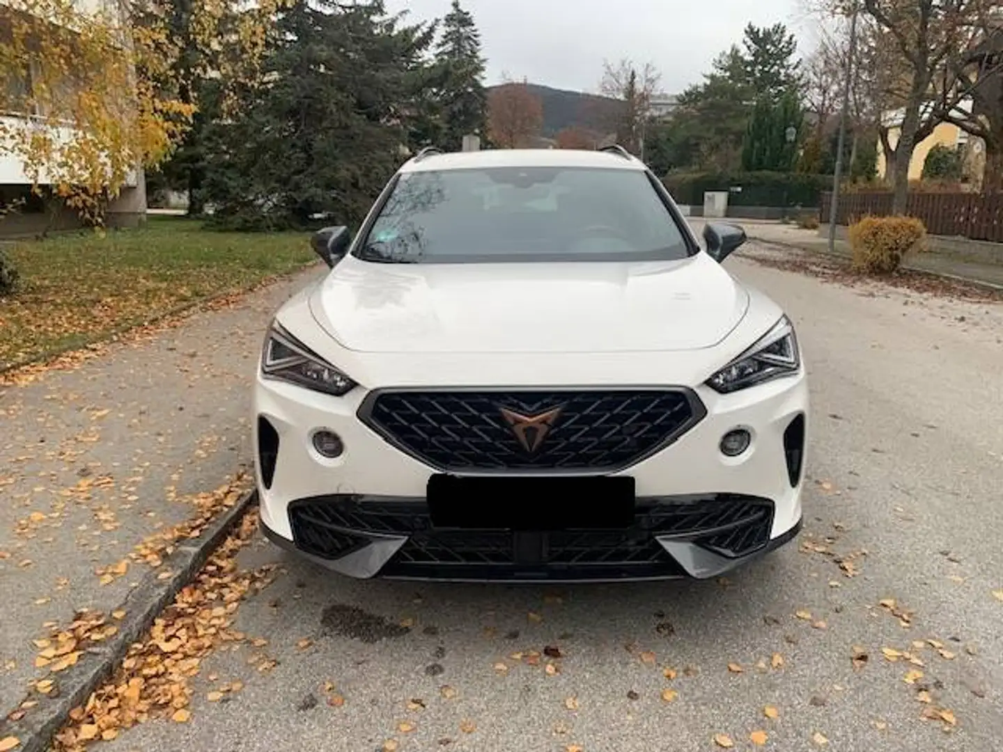 CUPRA Formentor Formentor VZ 1,4 e-Hybrid 245 DSG Weiß - 1