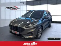 Ford Kuga ST Line X Automatik Allrad / Rückfahrkamera