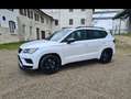 CUPRA Ateca Ateca 2.0 TSI 4Drive DSG Weiß - thumbnail 4
