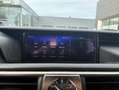 Lexus IS 300 300h Luxe Euro6d-T Grau - thumbnail 20