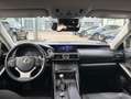 Lexus IS 300 300h Luxe Euro6d-T Grau - thumbnail 15