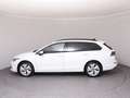Volkswagen Golf Variant Business TDI DSG Weiß - thumbnail 32