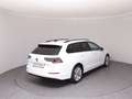 Volkswagen Golf Variant Business TDI DSG Weiß - thumbnail 4