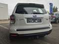 Subaru Forester EXCLUSIVE-2.0D-AUTOMATIK-AHK-SITZHEIZ-AUS 1.HAND Weiß - thumbnail 5