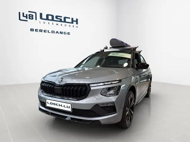 Skoda Kamiq view 2