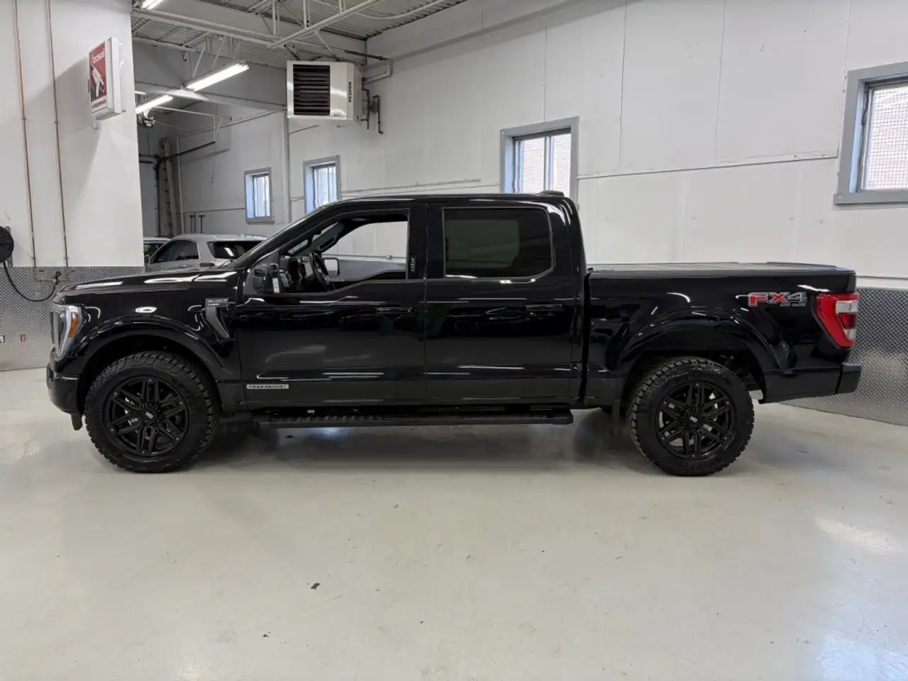 Ford F 150 fotografie Ford F 150