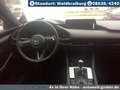 Mazda 3 e-SKYACTIV G 150PS Automatik Homura - thumbnail 5