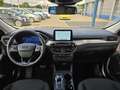 Ford Kuga 2.5 PHEV Titanium 225pk |  Afneembare Trekhaak | 1 Rouge - thumbnail 21