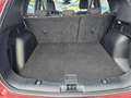 Ford Kuga 2.5 PHEV Titanium 225pk |  Afneembare Trekhaak | 1 Rouge - thumbnail 12