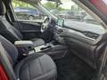 Ford Kuga 2.5 PHEV Titanium 225pk |  Afneembare Trekhaak | 1 Rouge - thumbnail 9